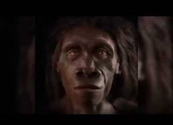 Enlace a La evolución del ser humano durante 6 millones de años resumida en un minuto