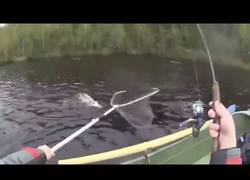 Enlace a A este pescador le pasa de todo, no tiene más remedio que abandonar