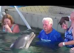 Enlace a Este delfín se lo pasa en grande con este hombre jugando a una guerra de agua echándose agua