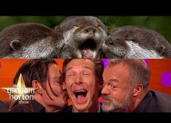 Enlace a Benedict Cumberbatch, Johnny Depp y Graham Norton + imitando caras de animales = diversión segura