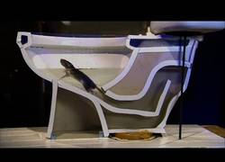 Enlace a Desde hoy todos tendremos fobia de sentarnos en el váter