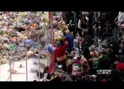 Enlace a Brutal avalancha de peluches en casa de los Calgary Hitmen de hockey