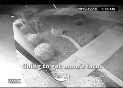 Enlace a A este restaurante de tacos le robaron la semana pasada y ha hecho este glorioso anuncio [inglés]