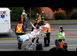 Enlace a El efecto de las drogas en estado puro