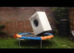 Enlace a ¿Quién dice que solo las personas pueden pasárselo bien en una cama elástica? Mira esta lavadora