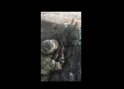 Enlace a Creo que esta no es el arma adecuada...