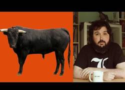 Enlace a A Loulogio le gustan los toros. Su opinión...