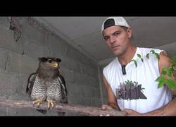 Enlace a Frank Cuesta vuelve a rescatar a un animal, esta vez un buho