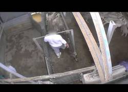 Enlace a Atroz matadero con certificado 