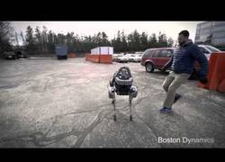 Enlace a Los robots también son humanos