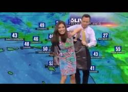 Enlace a ¡A esta presentadora del tiempo le juega una mala pasada su vestido!
