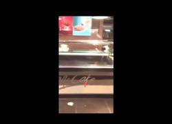 Enlace a Así es el 'precioso' RATÓN que correteaba en un Mcdonalds de París