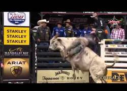 Enlace a Te va a doler la espalda luego de ver esto. Una ronda de fails en los rodeos