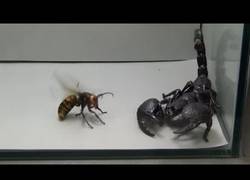 Enlace a Dos razones para quemar tu casa, tu barrio y tu ciudad entera