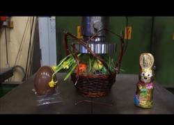 Enlace a Esto es lo que pasa cuando pones objetos de Pascua en una prensa hidráulica