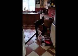 Enlace a Ese momento en el que te das cuenta que tu hijo tiene pocas luces