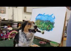 Enlace a Mucha atención al arte que tiene este perro pintando un cuadro