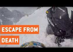 Enlace a Esta persona ha vuelto a nacer tras esta gran avalancha