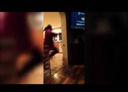 Enlace a Este perro cree que hay una valla invisible y no puede dejar de saltar