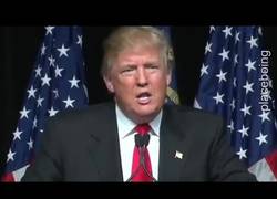 Enlace a Donald Trump odia las luces