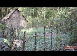 Enlace a Hoy, en Tecnología Primitiva tenemos un huerto de patatas