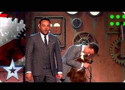 Enlace a He aquí los ganadores del Britain's Got Talent 2015! Están de vuelta! Increíble habilidad