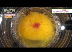 Enlace a Japoneses incubando un huevo fuera de su cáscara