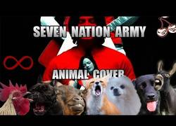 Enlace a Nuestros animales favoritos llegan con un temazo cantado por ellos mismos: Seven Nation Army