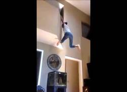 Enlace a Balconing con una pecera. Nuevo estilo