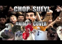 Enlace a Vuelven nuestros animales favoritos con una cover de Chop Suey (SOAD)