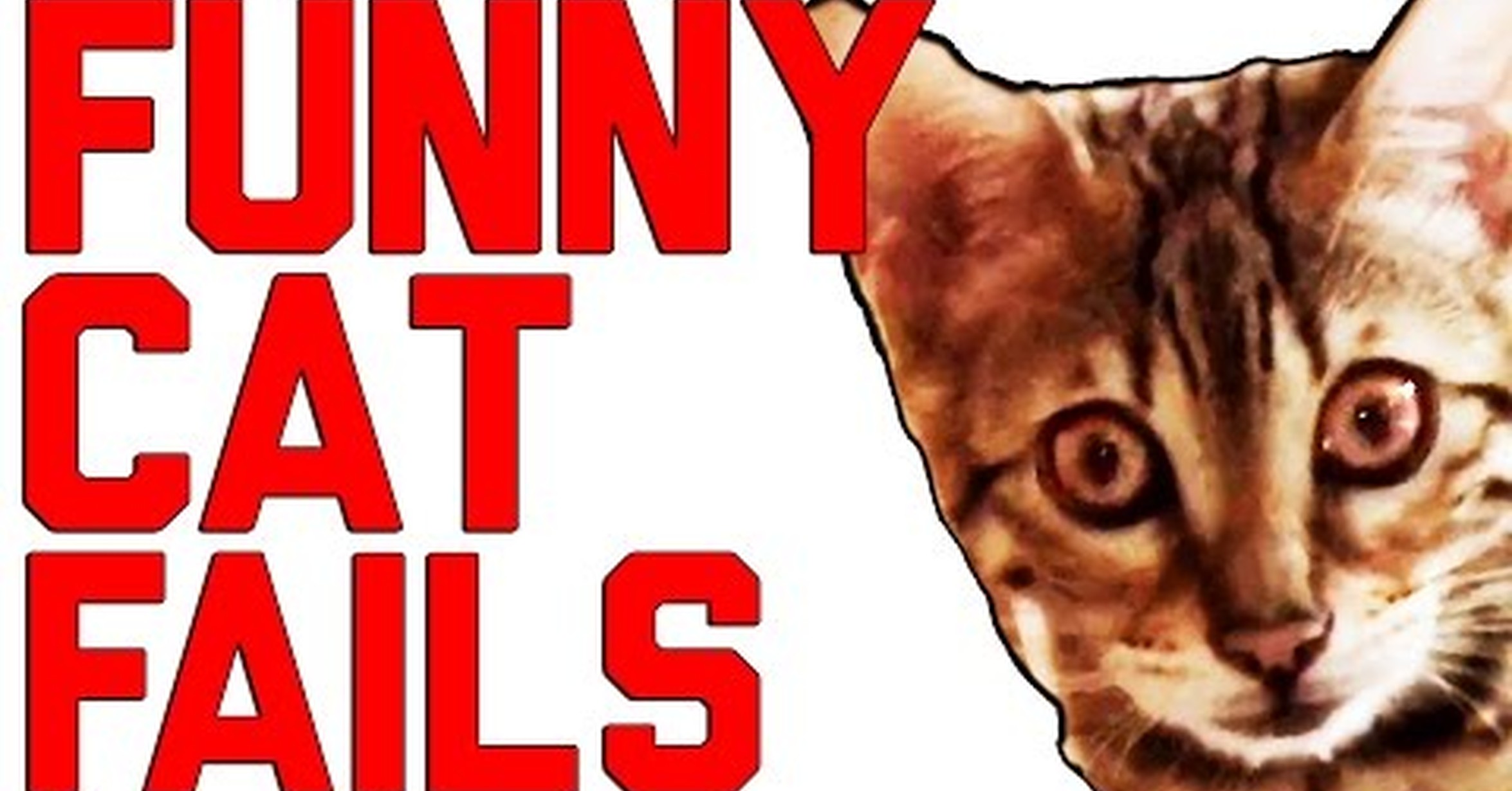 Youtube Funny Fail