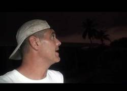 Enlace a Los búhos que le piden comida a Frank