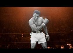 Enlace a El maravilloso tributo a todo un campeón: Muhammad Ali