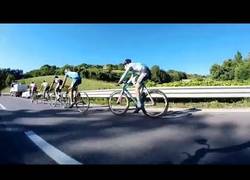 Enlace a El poder de la aerodinámica