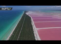 Enlace a Maravillosas vistas con un drone de Las Coloradas en México con el agua rosa