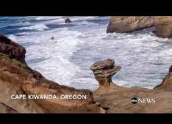 Enlace a Y así es como unos cazurros destrozan la naturaleza