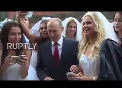 Enlace a Putin es secuestrado por este escuadrón de modelos de vestidos de novia