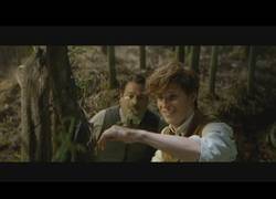 Enlace a [Inglés] NUEVO trailer de Animales fantásticos y dónde encontrarlos