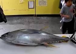 Enlace a Este es el proceso de cortar un atún