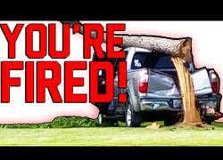 Enlace a ¡Estás despedido!
