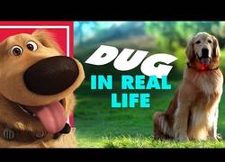 Enlace a Este es el perro de Pixar... en la vida real