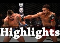 Enlace a La brutal paliza que recibió el luchador que retó a Ibrahimovic