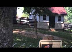 Enlace a Este es el secreto de los canguros: practican antes de luchar