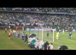 Enlace a El golazo a lo FIFA de Atlético Nacional frente al Coritiba
