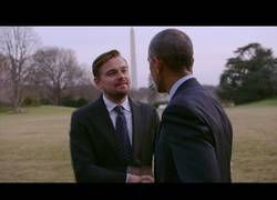 Enlace a Before the flood, el documental recomendadísimo de DiCaprio