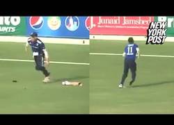 Enlace a No hay nada peor que perder la pierna mientras juegas al cricket