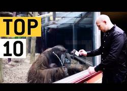 Enlace a Los mejores trucos de magia que te dejarán boquiabierto