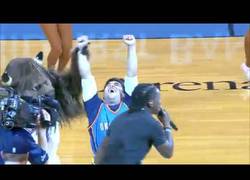 Enlace a El tiro de los 20.000$ en la NBA
