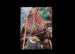 Enlace a La enorme sorpresa que se llevan estos pescadores al ver lo que acaban de pescar sin saberlo