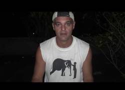 Enlace a Mensaje de Frank Cuesta a los animalistas y veganos